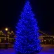 Гірлянда Нитка вулична 500 LED 50 м чорна, синій